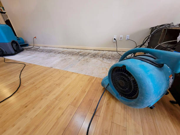 Reliable Basement Flood Cleanup contractor in Junction City, WI by Hirex Water Damage