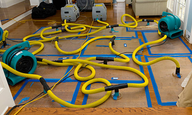 Professional Basement Flood Cleanup technician working in Junction City, WI